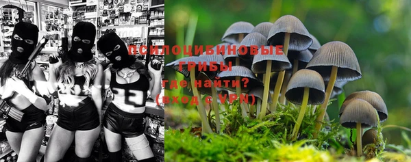 трава Алексеевка