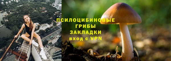 трава Алексеевка