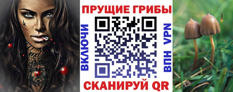 Галлюциногенные грибы ЛСД  закладка  Вихоревка 